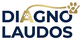 DiagnoLaudos